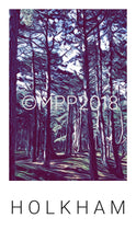 Load image into Gallery viewer, NORTH NORFOLK 2