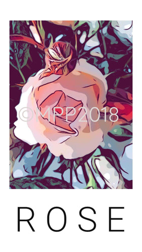 ROSE 1