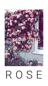 ROSE 3